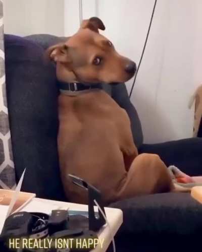 Чёт приуныл