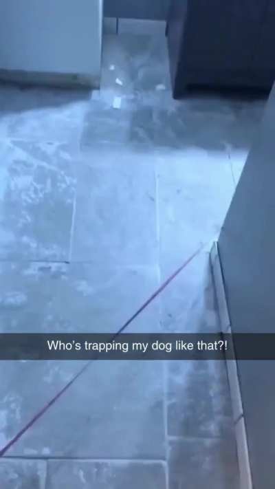 🤣