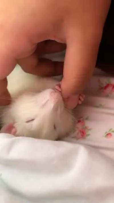 He loves holding onto my thumb when I'm giving him little rubs. ❤️