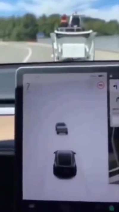 blursed_tesla