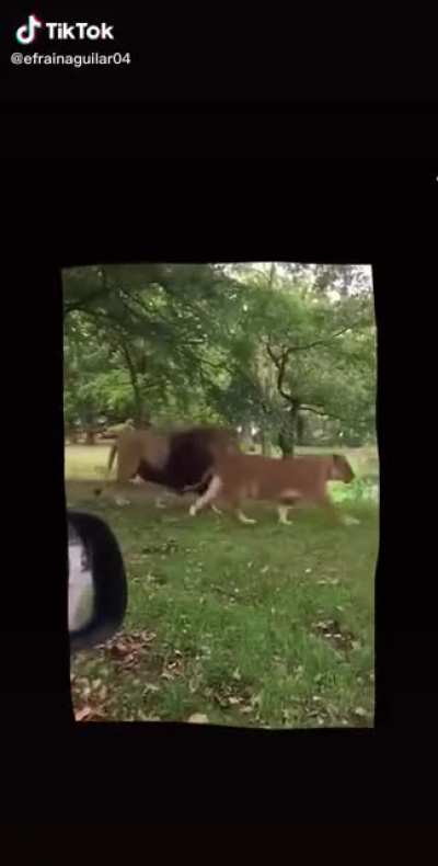 I’m scared mommy....