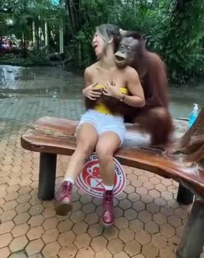 Monke need some as well