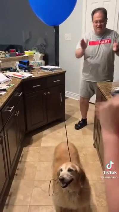 Party dog!