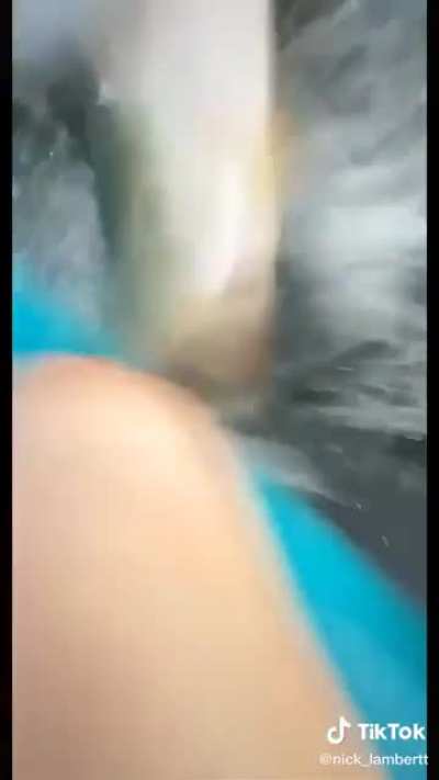 Catch and release