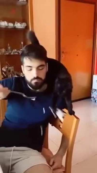 Hooman, you deserve it.