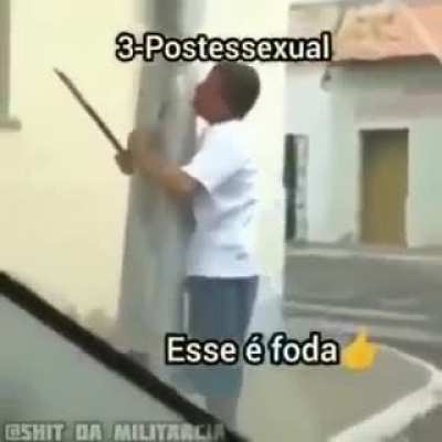 Top 5 generos fodas