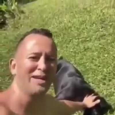 eu_nvr