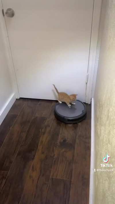 On todays daily dose of Carl I present: Carl riding the rumba like a boss lol