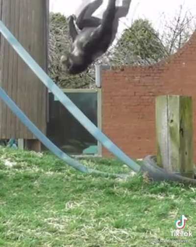 Epic monke flip