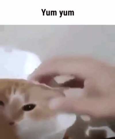 Rule