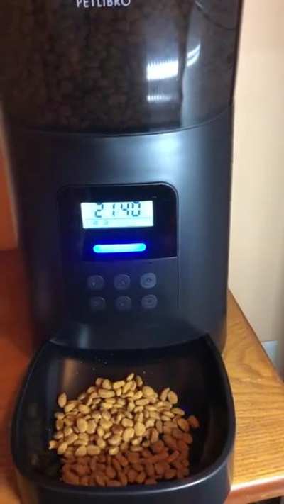 New cat feeder