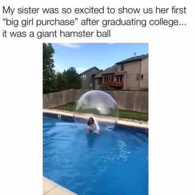 A Hamster Ball...