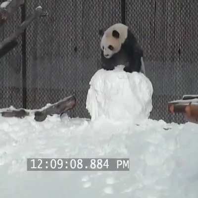 To stay on the snowman