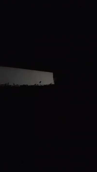 The train passing by on the tracks near my house straight up sounds like a horror movie.