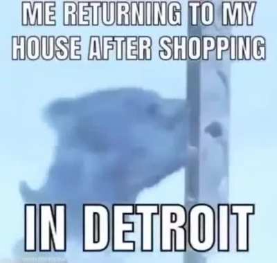 D*troit