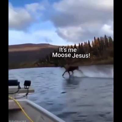 He is our savior