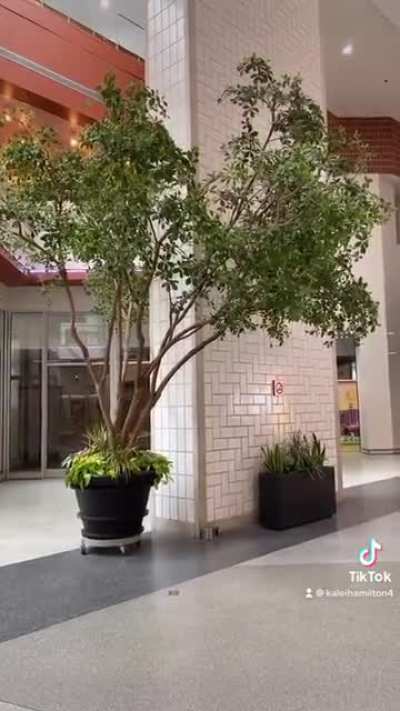 abandoned shopping center