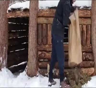 Building a hobby-shelter while camping in Kelowna