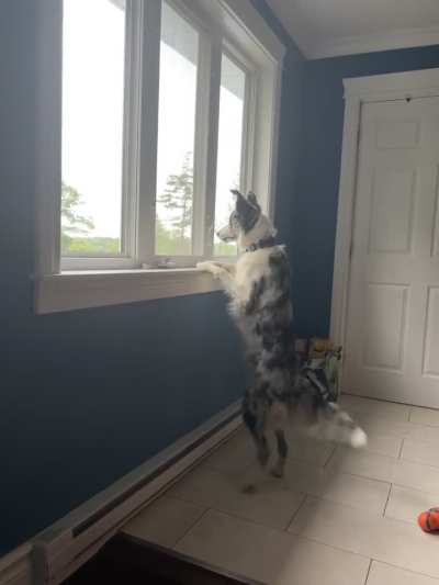 She has constant outside FOMO