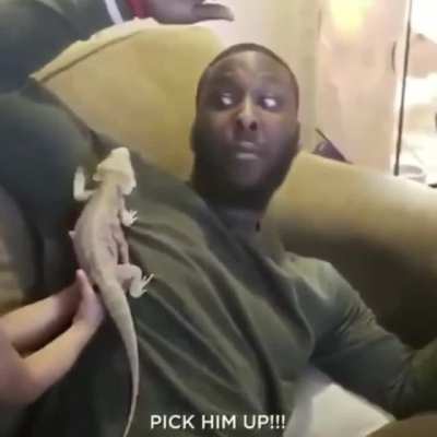 Pick him up