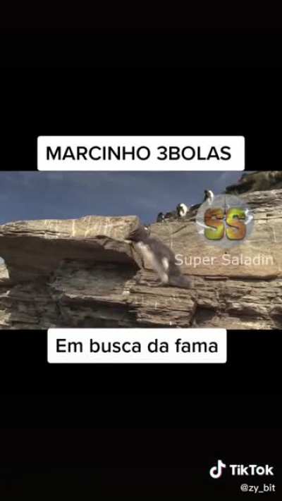 Sei lá kaka