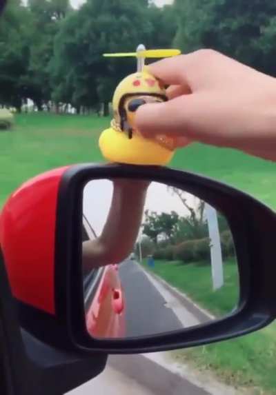 Born to be wild. ''Purely duckorative.''