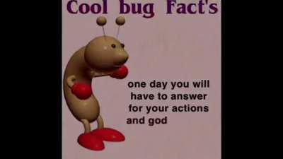 Sex bug