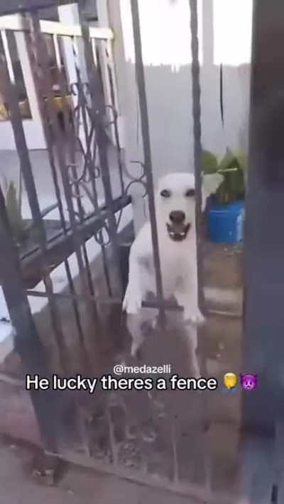 Why so mad bro?
