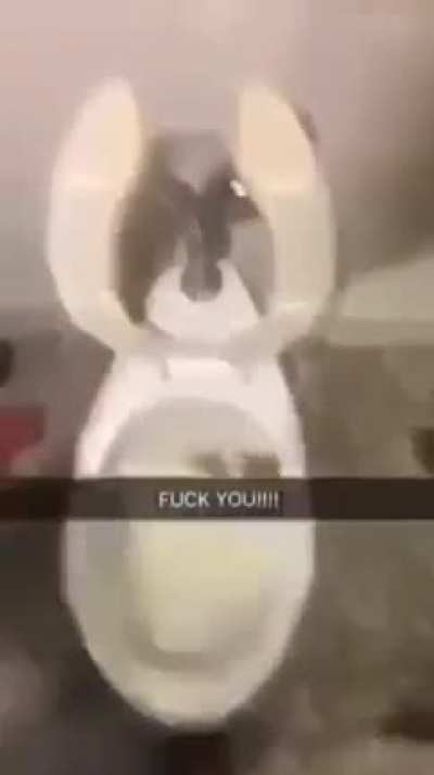 hehe