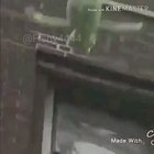 ((loud)JAHSEH REINCARNATED AS FROG😱😱 ماذا اللعنة قلت للت😂😂)