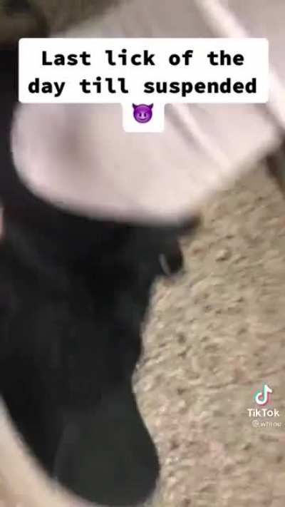 Bruj