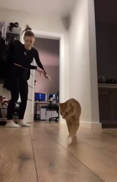 Let me show you an exercise