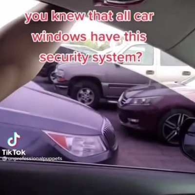 Car window security system
