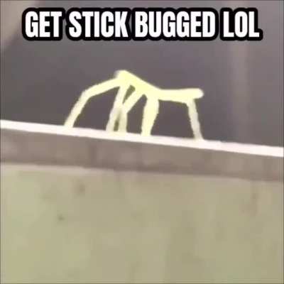 (An interesting title)
