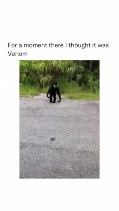 Gimme that