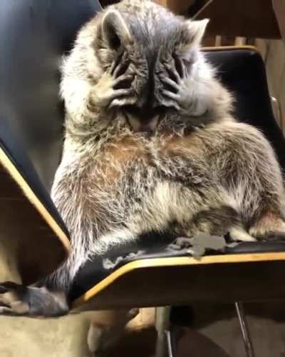 Госпо<wbr>ди, за что мне вот это вот всё?!