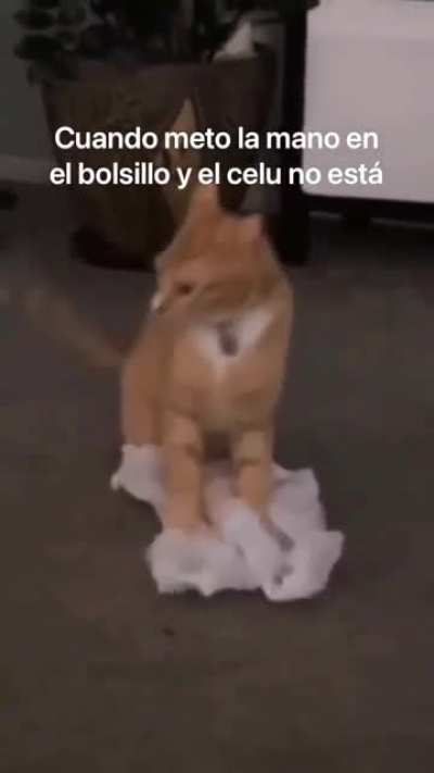 Cuando bajo del metro..