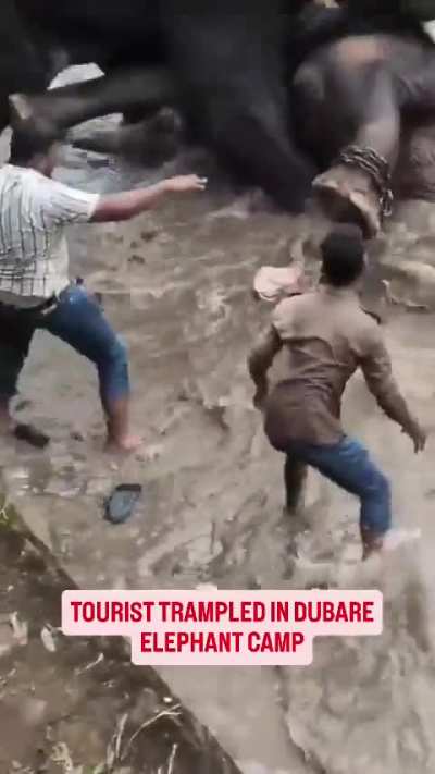 A terrible accident in Karnataka serves as a stark reminder of the dangers of elephant tourism.