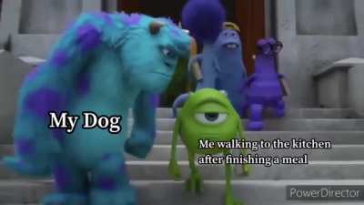 That guilty feeling when you’re walking from Living Room to kitchen with the dishes and your dog keeps staring at you the whole way because you didn’t give him any food
