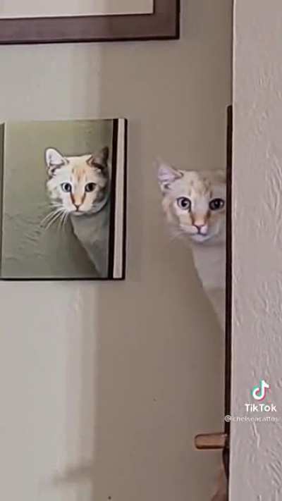 The pawphecy has been fulfilled