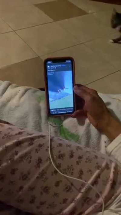 My mom thought a GTA 5 video was real