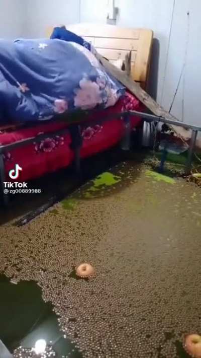 Que