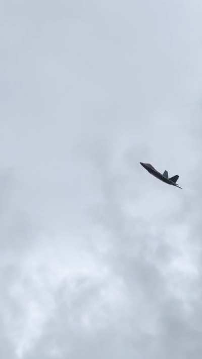 Raptor (oc)