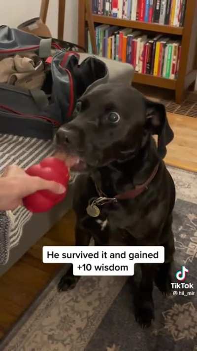 Don’t do drugs kids