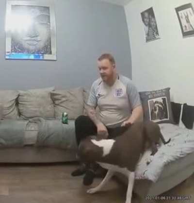 This guy when he thinks he dog had passed