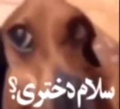 mamad: