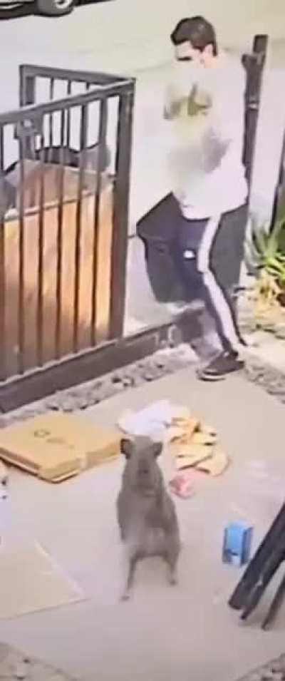 There goes the pizza