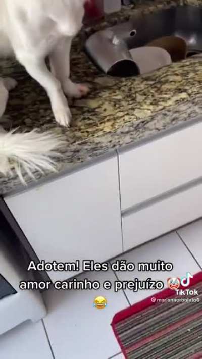 Aí não, Sebastião