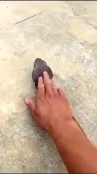 Aprecie o vídeo com fones de ouvido :D