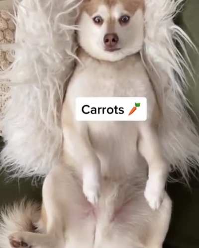 Знако<wbr>мое слово